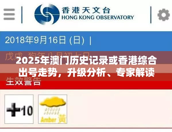 2025年澳门历史记录或香港综合出号走势，升级分析、专家解读解释与落实,谨防华而不实包装