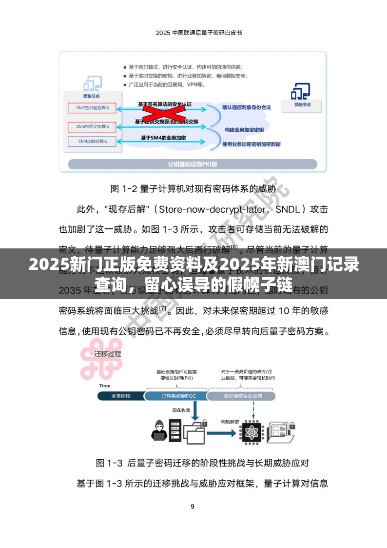 2025新门正版免费资料及2025年新澳门记录查询，留心误导的假幌子链